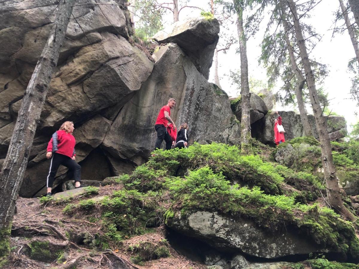 Girske Povitria 2 Villa Jaremtje Exteriör bild