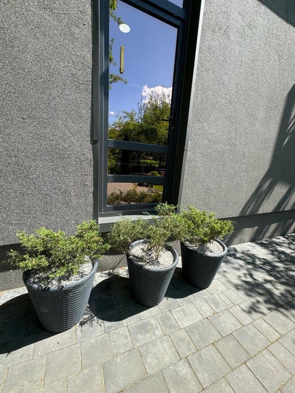 Girske Povitria 2 Villa Jaremtje Exteriör bild