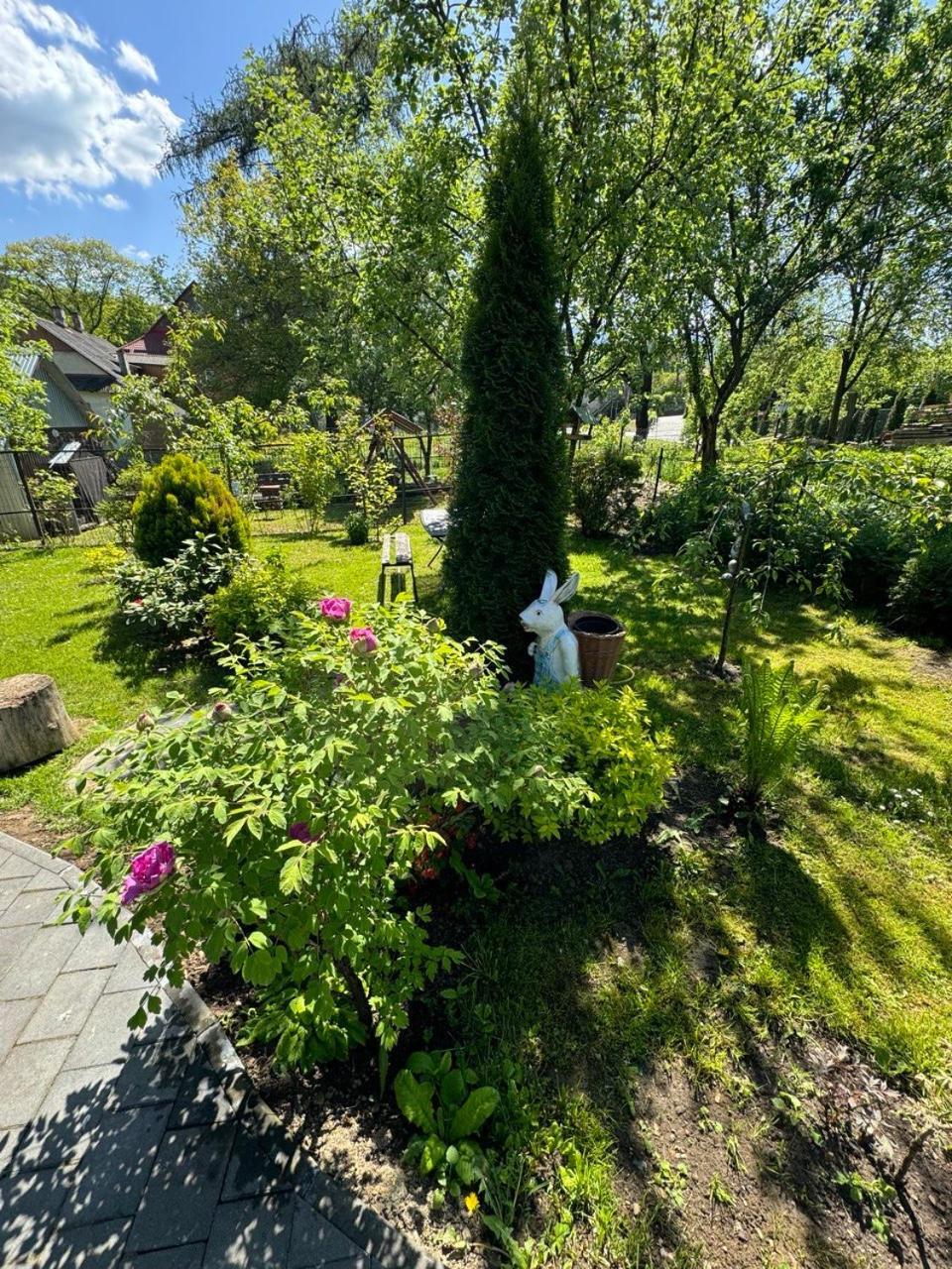 Girske Povitria 2 Villa Jaremtje Exteriör bild